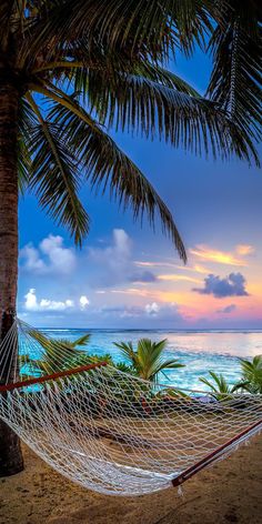 a hammock on the beach with palm trees and water in the background at sunset