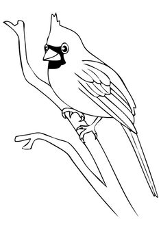 a bird sitting on top of a tree branch with its beak open and eyes wide open