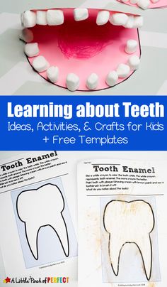 tooth shaped paper plate with the words learning about teeth