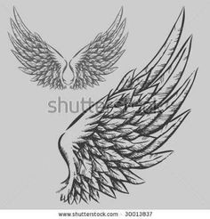 two wings drawn in pencil on a gray background