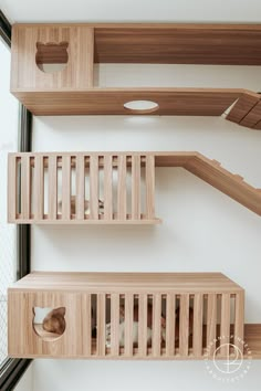 two wooden shelves with cats in them and one cat sitting on the other shelf next to each other