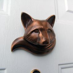 a close up of a cat's head on a door