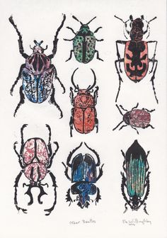 six different colored bugs are shown in this drawing, with one beetle on the left side