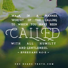 blueberries with the words, walk in a manner called called called called called called called called called called called called called called called called called called called called called called called called called called called called called called called called called called called called called called called called called called