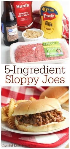 an image of a sandwich with meat and french fries on the side text reads 5 - ingredient sloppy joes