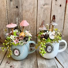 two mugs with plants and mushrooms in them