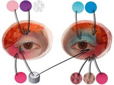 an eye with different colored circles around it and the iris area labeled in red, blue, green, pink