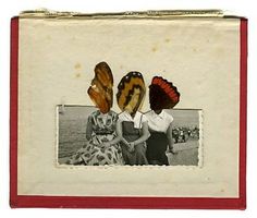 an old photo with three butterflies on it