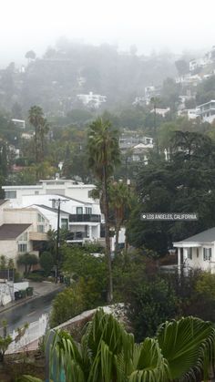 the city is surrounded by palm trees on a foggy day with houses in the background