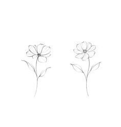 two flowers are shown in black and white on a white background, one is drawn by hand