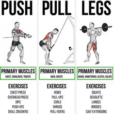 an exercise poster with instructions for push pull legs