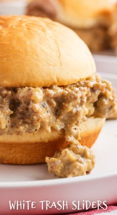 White Trash Sliders! An easy recipe with ground beef, pork sausage and Velveeta cheese on soft slider rolls perfect for crock pot appetizers, tailgating, game night and parties! Best Sliders, Crock Pot Appetizers, Wraps Pinwheels, Sausage Sliders, Sandwich Night, Shrimp Appetizer Recipes, South Your Mouth, Onion Casserole