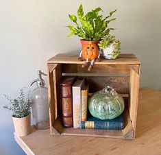 a wooden shelf with books and plants on it