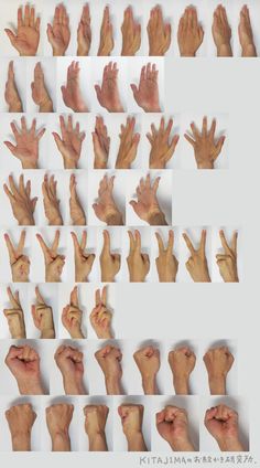 many hands are shown with different positions and gestures to show the number one on each hand