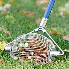 a wire basket filled with nuts sitting on top of grass next to a metal scoop