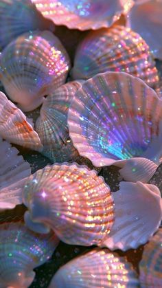 many seashells are laying on the ground with iridescent light shining through them