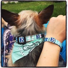 a small dog wearing a bandana on it's back