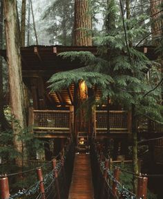 a tree house in the middle of a forest with a walkway leading up to it