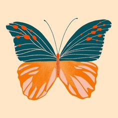 an orange and blue butterfly on a beige background