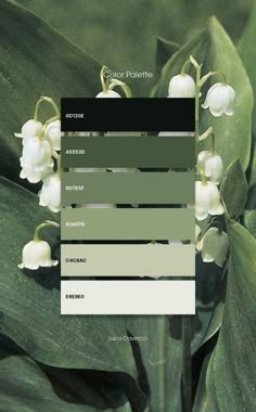 Color Mood Palette, Calming Green Color Palette, All Green Color Palette, Green Emerald Color Palette, Sea Foam Green Color Schemes, Mood Board Green Colour Palettes, Pantone Colour Palettes Green, Monochromatic Green Color Palette, Luna Moth Color Palette