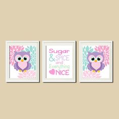 three wall art pieces with owls and flowers on the walls in a child's room