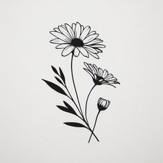 black and white drawing of three daisies on a white background with the stems still attached