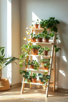 a wooden ladder filled with potted plants next to a window