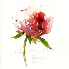 a watercolor painting of a pink flower