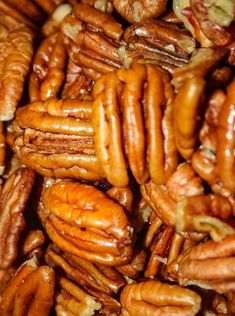 Pecans: Mammoth 1/2's - Hillson Nut Company Pecan Halves, Best Freeze Dried Food, Dried Food, Spiced Pecans, Nut Recipes, Freeze Drying Food, Peanut Oil, Tree Nuts, Freeze Dried