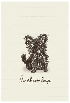 a drawing of a small dog with the words la chien loup on it