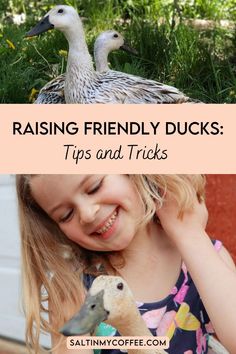 I often get asked how do I get my ducks to be friendly and gentle with my kids? Raising friendly ducks is not difficult, but there are certain things that need done. Help your duckling become friendly ducks by following my tips and tricks, and see the whole family enjoy being around your ducks. What To Feed Ducks, Keeping Ducks, Backyard Ducks, Raising Quail, Raising Ducks, Be Friendly, Duck House, Livestock Farming, Duck Eggs