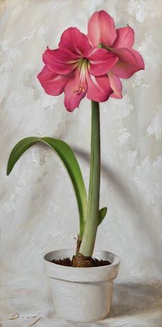 a painting of a pink flower in a white pot