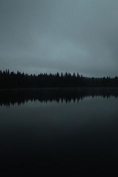 a lake with trees in the background at night