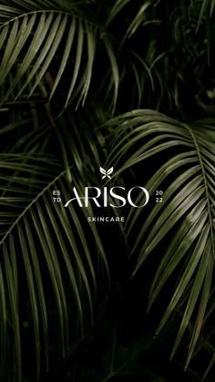 the logo for ario skin care is shown in front of some palm leaf leaves