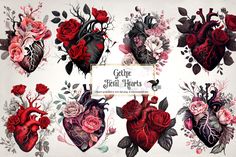 some heart shaped flowers and plants on a white background