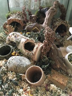 an assortment of clay animals and plants in a glass case on top of shredded paper