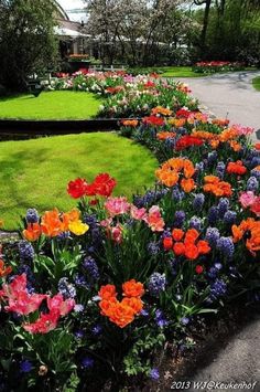 colorful flowers line the edge of a flower bed in front of a green lawn and house