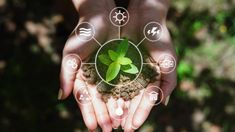 two hands holding green plants and symbols