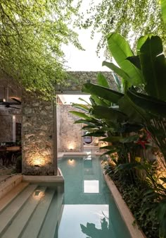 an indoor swimming pool surrounded by greenery and stone walls with stairs leading up to it