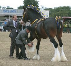 a man is standing next to a horse in a field with other men around him