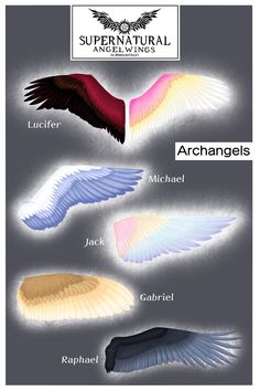 an image of different colored wings on a gray background with the words supernatural and angels above them