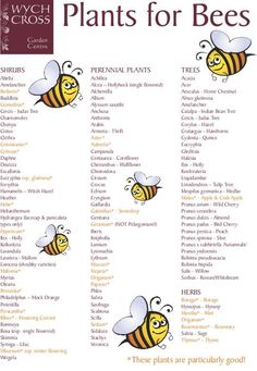 a bee is shown with the words plants for bees