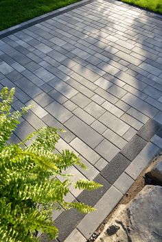 a brick walkway in the middle of a grassy area