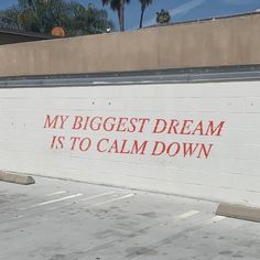 a sign on the side of a building that says, my biggest dream is to calm down