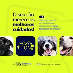 an advertisement for the spanish language dog training program, with three dogs and one cat