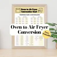 an open air fryer conversation chart is displayed in front of a potted plant