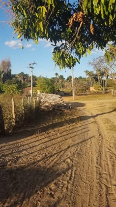 a dirt road that is next to some trees