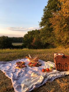 a picnic blanket with food on it in the middle of an open field next to trees