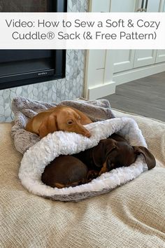 two puppies are curled up in a dog bed on the floor with text overlay that reads video how to sew a soft and cozy cuddle sack & free pattern