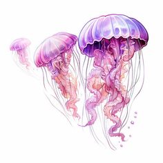 Jellyfish Clipart: Chiaroscuro Art Style, 4K & SVG Billboard Advertising, Event Backdrop, Vinyl Cut, Craft Lovers, Chiaroscuro, Digital Artists, Interactive Activities